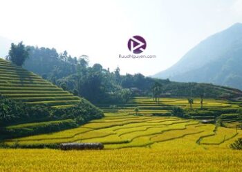 Kinh nghiệm du lịch Bắc Hà, Lào Cai