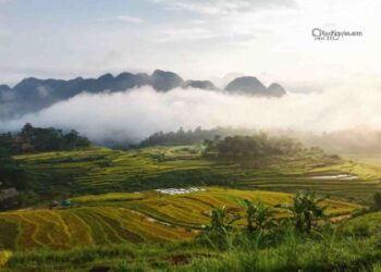 Kinh nghiệm du lịch Pù Luông