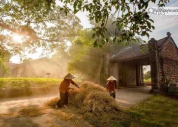 Kinh nghiệm du lịch Đường Lâm, Hà Nội
